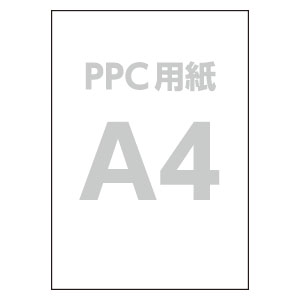 A4 PPCp(500×10)