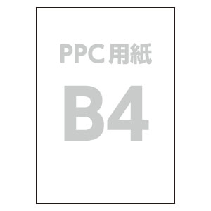 B4 PPCp(500×5)