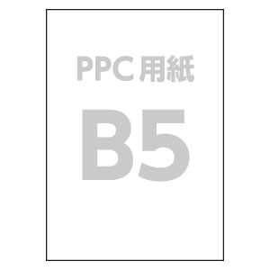B5 PPCp(500×10)